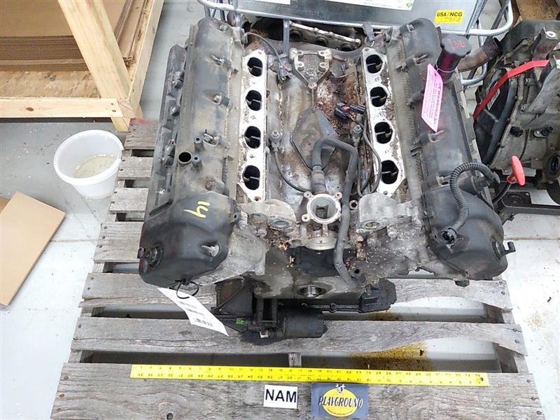 eaJ ② V-8 Secondary Timing Chain | Moss Motors