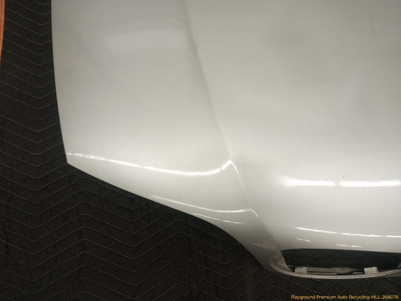 BMW 325CI Hood Bonnet Panel
