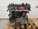 Land Rover Evoque Engine Long Block-3