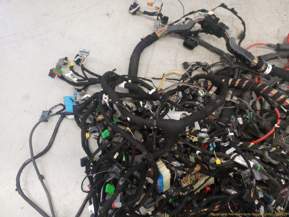 Land Rover Evoque Vehicle Body Wire Harness