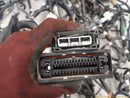 Acura TSX Full Car Wire Harness-7