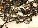 Range Rover Evoque Vehicle Wiring Pigtails-5