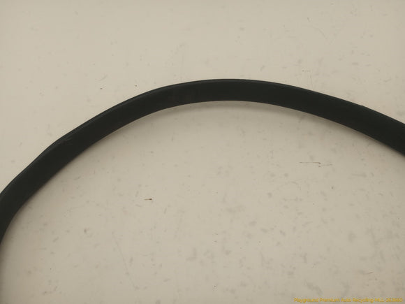 Tesla Model Y Driver Left Rear Door Body Side Seal Weatherstrip