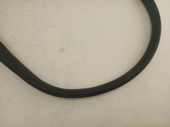 Tesla Model Y Driver Left Rear Door Body Side Seal Weatherstrip