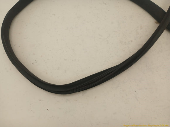Tesla Model Y Driver Left Rear Door Body Side Seal Weatherstrip