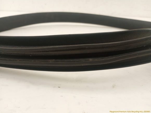 Tesla Model Y Driver Left Rear Door Body Side Seal Weatherstrip