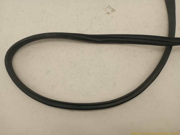 Tesla Model Y Driver Left Rear Door Body Side Seal Weatherstrip