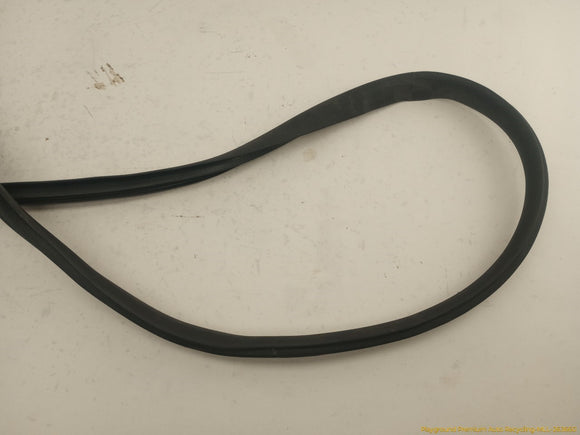 Tesla Model Y Driver Left Rear Door Body Side Seal Weatherstrip