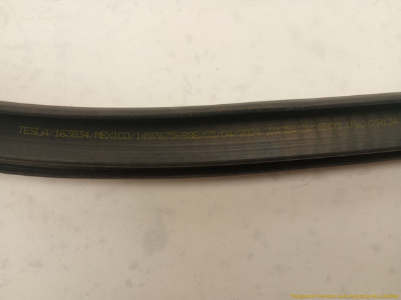 Tesla Model Y Driver Left Rear Door Body Side Seal Weatherstrip