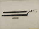 Tesla Model Y Pair Of Power Liftgate Struts-1
