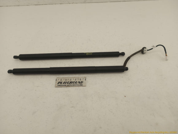 Tesla Model Y Pair Of Power Liftgate Struts
