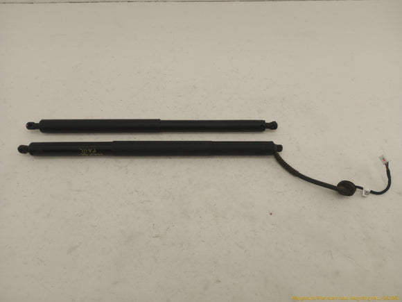 Tesla Model Y Pair Of Power Liftgate Struts