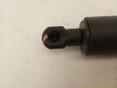 Tesla Model Y Pair Of Power Liftgate Struts-3