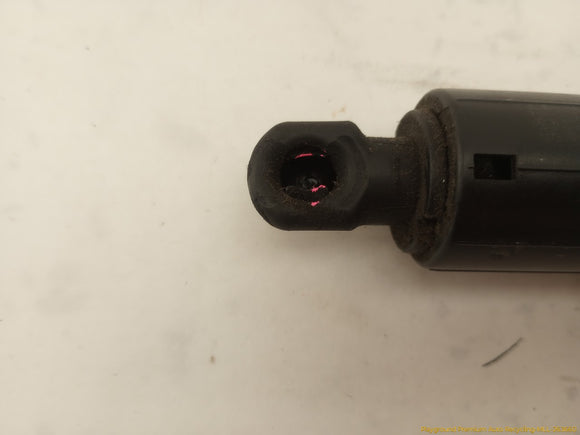 Tesla Model Y Pair Of Power Liftgate Struts