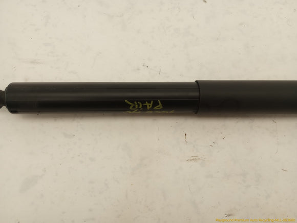 Tesla Model Y Pair Of Power Liftgate Struts