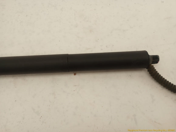 Tesla Model Y Pair Of Power Liftgate Struts
