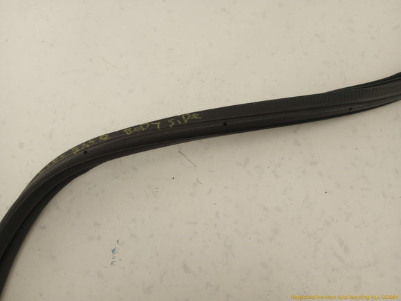 Land Rover Discovery Sport Liftgate Body Side Seal Weatherstrip