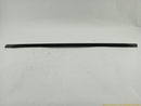Land Rover Discovery Sport Rear Right Upper Window Door Exterior Molding Strip-10