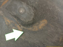 Mercedes SLK320 Engine Underbody Splash Shield-12