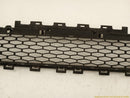 Land Rover Discovery Sport Front Bumper Lower Grille-3