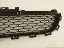 Land Rover Discovery Sport Front Bumper Lower Grille-4