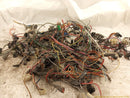 Chevrolet Corvette C3 Vehicle Wiring Pigtails-9