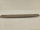 Hummer H2 Tailgate Sill Scuff Plate-5