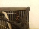 Jaguar XK8 AC Evaporator-9