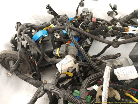 Alfa Romeo Giulia Vehicle Wiring Pigtails