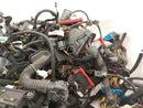 Alfa Romeo Giulia Vehicle Wiring Pigtails-6