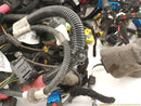 Alfa Romeo Giulia Vehicle Wiring Pigtails-8