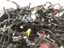 Alfa Romeo Giulia Vehicle Wiring Pigtails-9