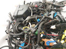 Alfa Romeo Giulia Vehicle Wiring Pigtails-10