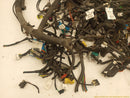 Hummer H3 Vehicle Wiring Pigtails-5