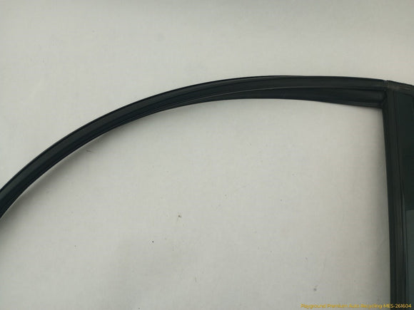Lincoln MKT Rear Left Door Window Run Channel