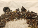 Dodge Stealth Dismantling Hardware Fasteners Bolts & Nuts-4