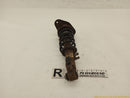 Mini Clubman Passenger Right Rear Strut-1