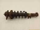 Mini Clubman Passenger Right Rear Strut-6
