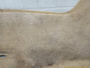 Jaguar XK Passenger Right Front Floor Carpet-9
