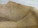 Jaguar XK Passenger Right Front Floor Carpet-10