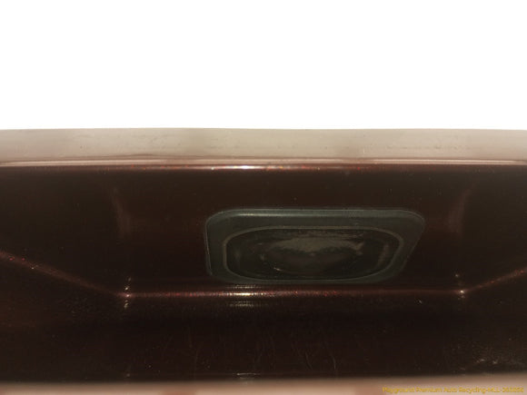 Ford Flex LIftgate Tailgate Release Handle Switch