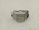 Porsche Cayenne AC Expansion Valve-2