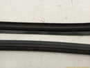 Cadillac CTS Pair Of Front Door Inner Molding-11
