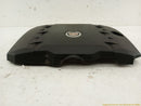 Cadillac CTS Engine Vanity Cover-6