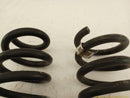 Ford Flex Pair Of Rear Coil Springs-5
