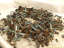 Porsche Cayenne Dismantling Hardware Fasteners Bolts & Nuts-11
