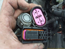 Porsche Cayenne Full Car Wiring Harness-10