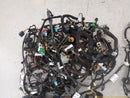 Jaguar XK Full Car Wire Harness-2