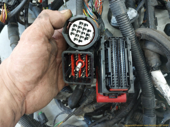 Jaguar XK Full Car Wire Harness