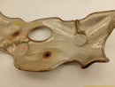 Ford Flex Passenger Right Exhaust Manifold Heat Shield-8